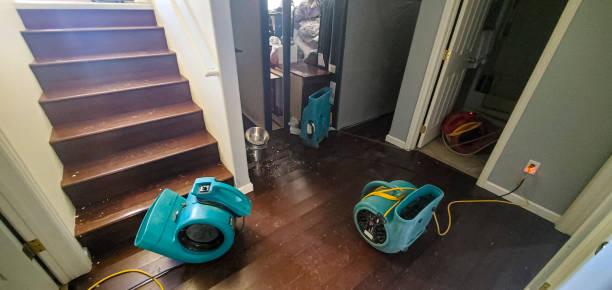 Best Mold removal after water damage  in Mary Esther, FL