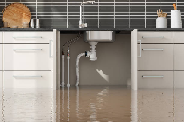 Sewage cleanup and water damage restoration in Mary Esther, FL